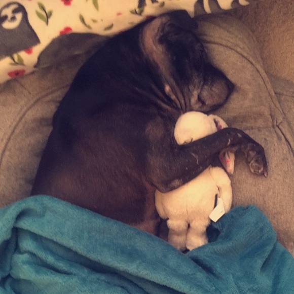 Meet your Posher, Jill - Picture 7 of 8